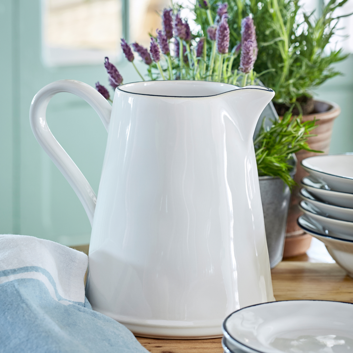 Pitcher Beja